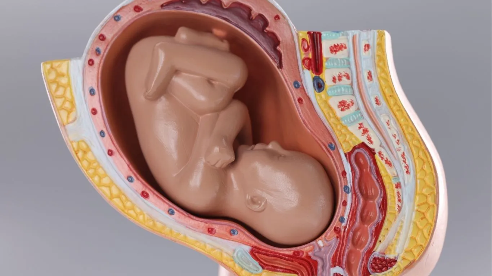 هبوط المشيمة